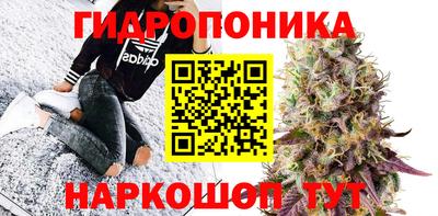 PSILOCYBIN Лесосибирск